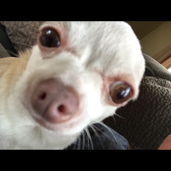 Meet your Posher, Kari - Picture 1 of 1